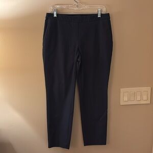 Theory Navy Pants